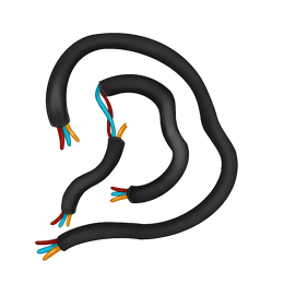 Wire