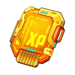 Premium Exp Chip